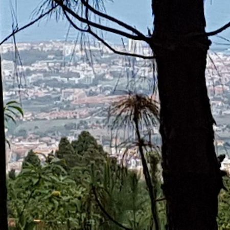 Finca La Casita ラ・オロタバ エクステリア 写真