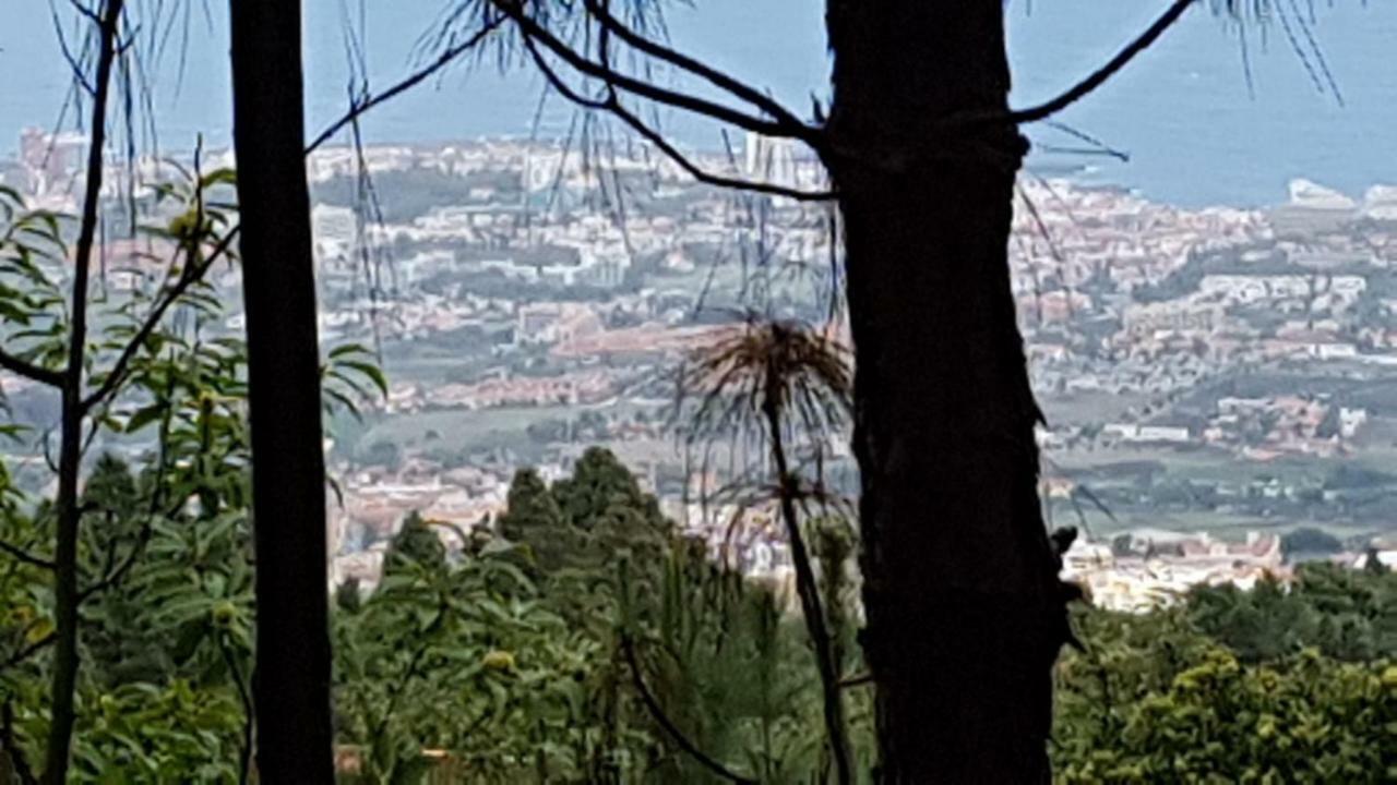 Finca La Casita ラ・オロタバ エクステリア 写真
