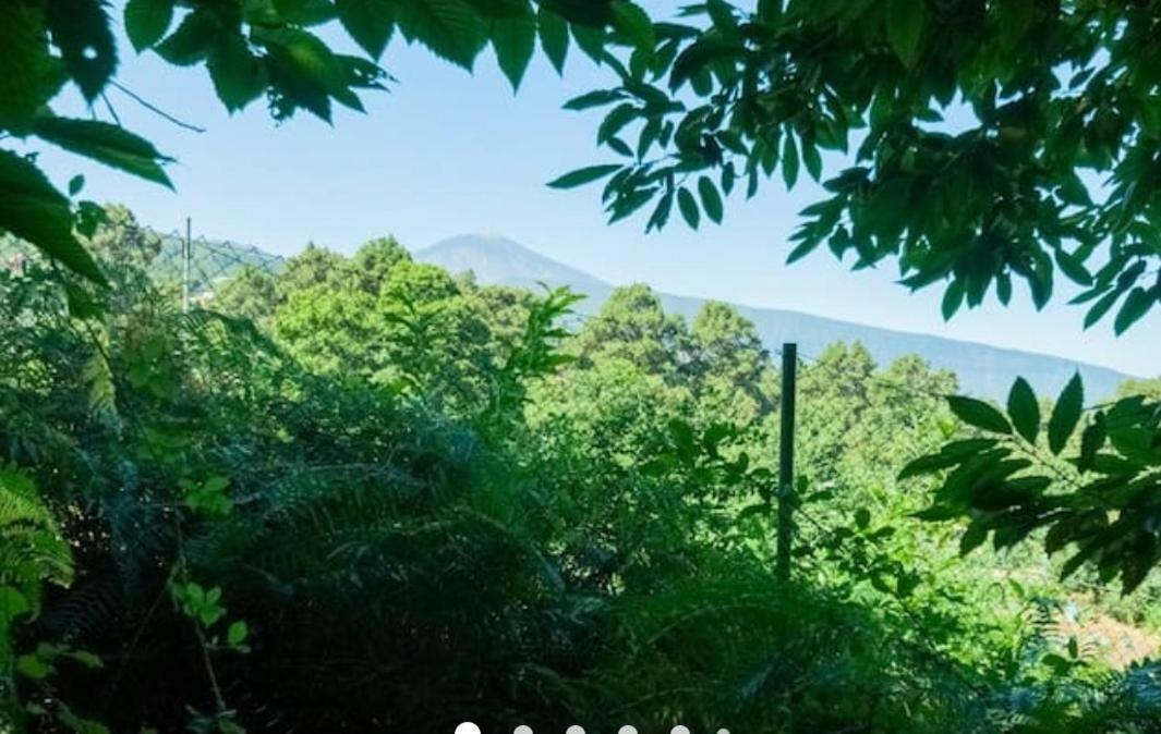 Finca La Casita ラ・オロタバ エクステリア 写真